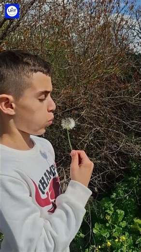 #spring #springtime #flowers #flower