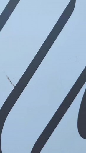 A sneak peak into a day at the Melbourne Cable Park #wakeboard #cablepark #aquafunpark #summer #schoolholidays #melbourne #highropes #climb #kidsclimb #kneeboarding