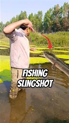 slingshot fishing tips and techniques #slingshot #fishing #shortsfeed