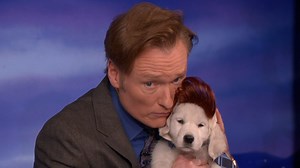 Take a break with Puppy Conan, Puppy Andy, and Puppy Shaquille O'Neal. #CONAN | Team Coco