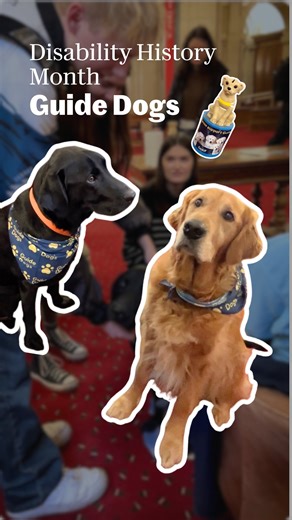 A couple of very important visitors at Main Building last week 🐾 Thanks to @guidedogscymru for visiting Cardiff Uni as part of Disability History Month. | Cardiff University