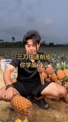 RT 5053170110305 mini rotary tillage and ridging all-in one tree 🌲 short view