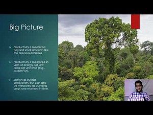 APES Topic 1.8, Primary Productivity