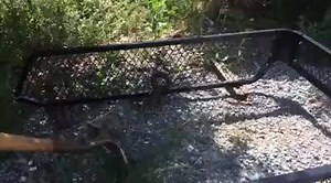 2.9K views · 15 reactions | Ken Bastida Working in Calaveras County with some growers today. Interview was interrupted by a rather nosy rattlesnake who took a little coaxing to chase away. Nobody hurt. Gotta love the foothills! | KPIX CBS San Francisco Bay Area | Facebook