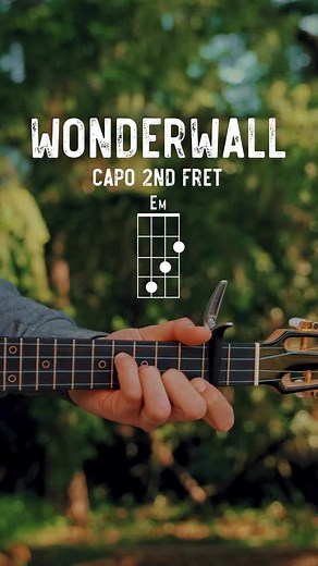 4.5K views · 167 reactions | Wonderwall - @oasis : Flight A10 Koa Tenor : @thegroovyguitardude #ukulele #flightukulele #ukuleles #musician #fyp #cover #ukulelecover #ukelele #music #ukuleletutorial #greenday #boulevardofbrokendreams #tutorial #playalong | Flight Ukulele | Facebook