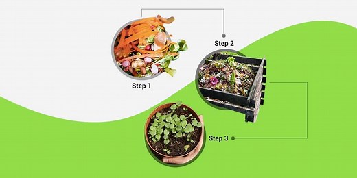 Fighting India’s Garbage Crisis: All About Composting