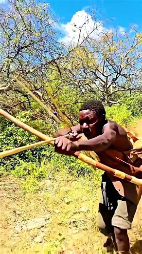 Cheetah and Cub Walking Together | Rare Wildlife Behavior Observation | Nature Documentary