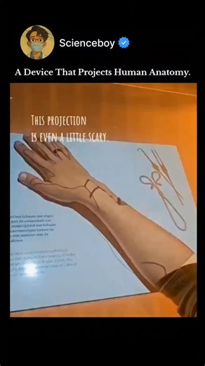 Deepak Kumar on Instagram: "This is the Anatomage Table, a virtual dissection tool that displays life-sized 3D models, interactive human cadavers on a large touchscreen. It lets users "peel" layers like skin, muscles, veins, and bones using virtual tools, simulating real anatomy for medical education and training."