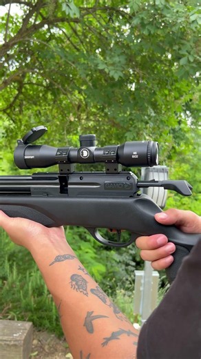 Meet the Gamo Arrow PCP 🔥🎯 #shorts