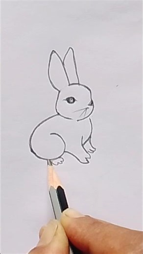 # easy rabbit drawing