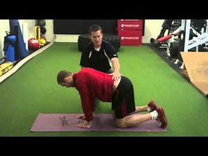 The Bird Dog (with progressions) For Lower Back Rehabilitation