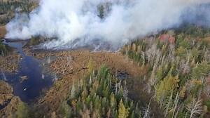 Firefighters battle wildfire in Waltham