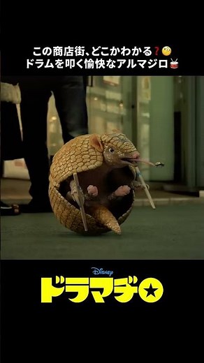 ストリート・ドラマーのアルマジロ、高円寺に現る🥁｜ドラマヂロ｜Disney+ (ディズニープラス) #Shorts