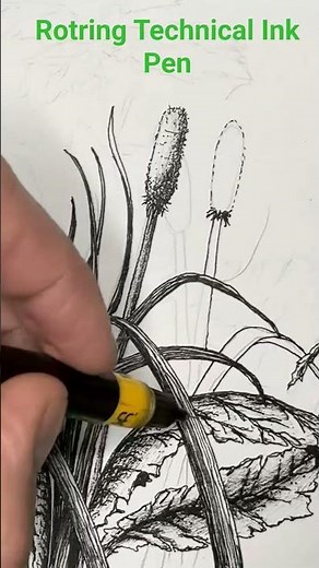 Drawing with the Rotring Technical 0.3 Ink Pen