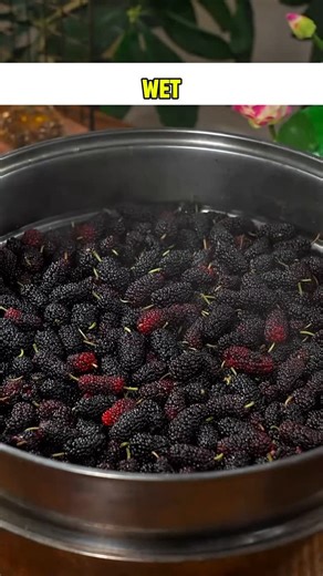 John Mwaviswa | This wine recipe is worth a try! Access all our recipes using the link on bio. | Instagram