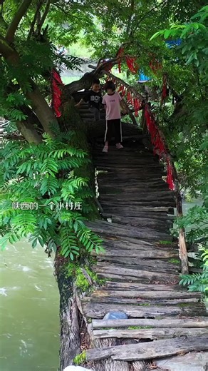 one.orange.tree (@one.orange.tree)’s videos with 原聲 - one.orange.tree