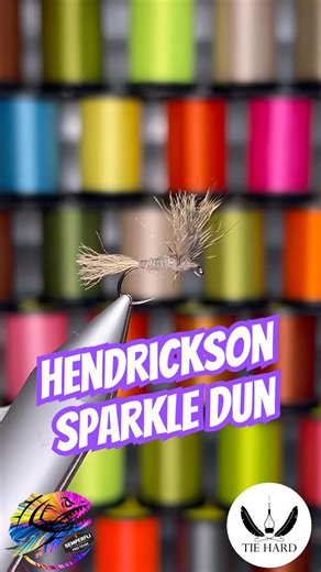 Daily fly nr.291: Hendrickson Sparkle Dun #flyfishing #flytying #tiehard