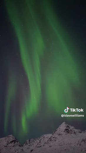 Aurora Borealis in Lofoten Islands: A Winter Wonderland Experience