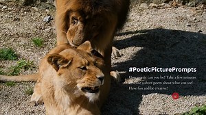 How poetic can you be? Take a few minutes to write a short poem about what you see! Have fun and be creative! https://www.realisticpoetry.com/group/journal-prompts-for-writers/discussion/fe795378-bda1-45dc-ba3f-ad4f70d95cff | Realistic Poetry International | Facebook