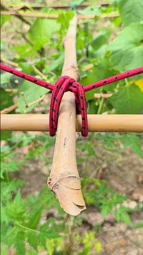 The knot used in Agricultural farms is very Effective and Reliable!!!