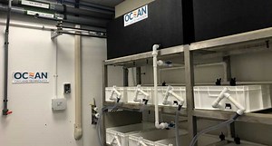 UK NATIVE OYSTER RESTORATION RESEARCH HATCHERY