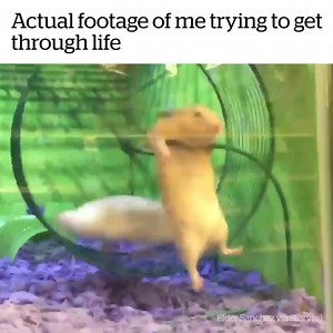 166K views · 455 reactions | LIFE in Quotes on Reels | Facebook