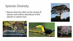 Lesson 1 - 生物多样性 Biodiversity