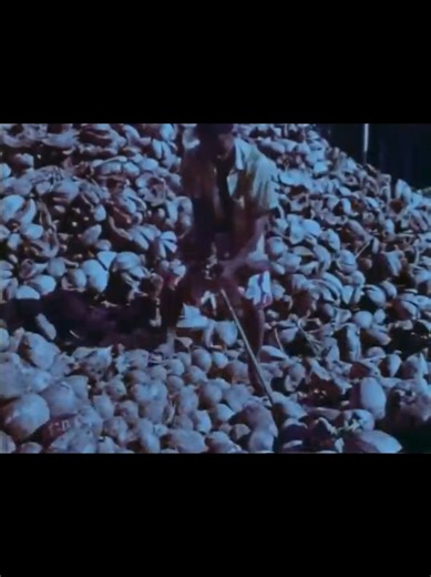 Exploring Samoa Islands Lifestyle in the 1970s and 1980s