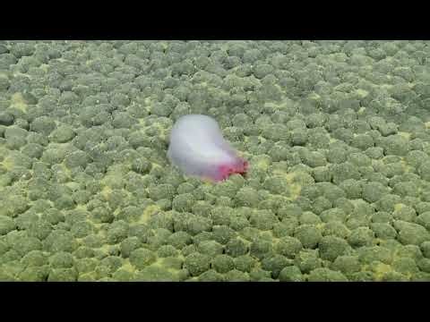 NA176_L1008_11of18_20251013T185504Z