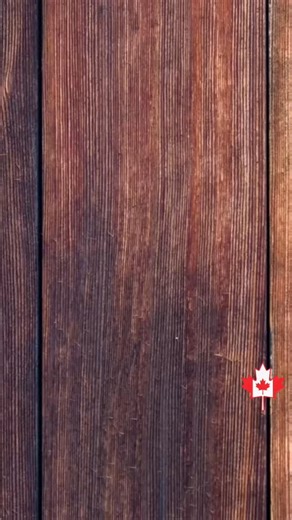 Bennett Apples & Cider on Instagram: "Check out this week’s specials! Open Monday to Saturday 8am-6pm Open Christmas Eve: 8am-3pm Closed Christmas Day and Boxing Day. Specials are valid until December 21, 2025. #hamont #inthehammer #ancasteront #farmmarket #ontapplegrower"