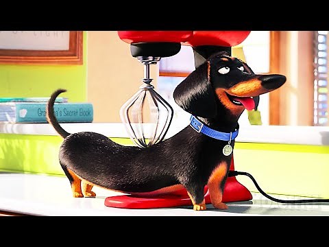 The FUNNIEST Moments from The Secret Life of Pets Movies ⚡ 4K