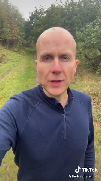 The Forager Within on TikTok