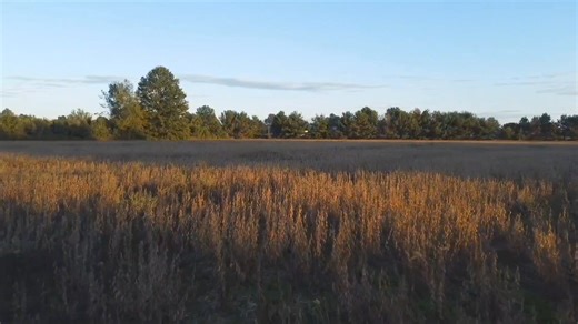 7.2K views · 83 reactions | Almost harvest time Archer Rd North Ridgeville Ohio | Ohio History Hunter | Facebook