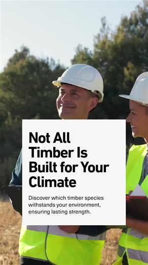Which timber species suits your environment best? Choosing the right timber is more than aesthetics—it's about durability and performance in varying conditions. From moisture-prone areas to high-traffic zones, each species offers unique strengths: • Cedar resists decay and insects, perfect for damp climates. • Douglas Fir offers exceptional strength for heavy loads. • Cypress thrives in wet environments with natural oils. At All Timber Structures, Inc., we apply 33 years of expertise to select t