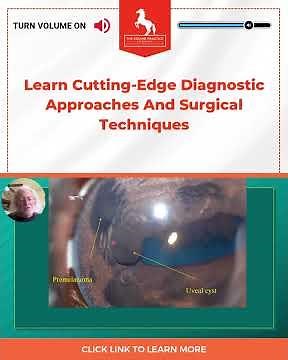 When an Iris “Cyst” May Not Be a Cyst: Equine Eye Lesions Explained