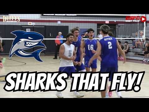 HEATED Playoff Battle 😤🏐 | #2 Spanish River Sweeps West Boca