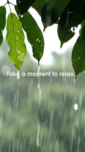Rain Nature Sounds for Concentration and Relaxation #rainsounds #focus #studymusic