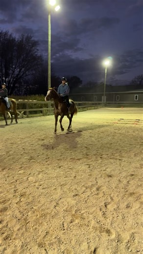 For no stirrup November would you rather ride bareback? Or on a saddle without stirrups?! Tell me! | Lucky Stables