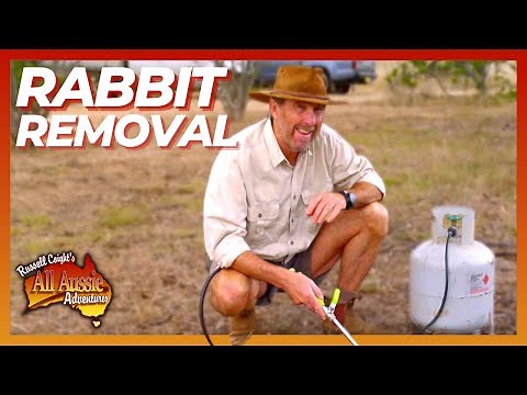 Russell Coight Teaches You How To Get Rid of Rabbits | All Aussie Adventures