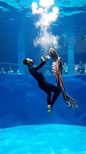 Trainer Dances With Giant Octopus 🐙