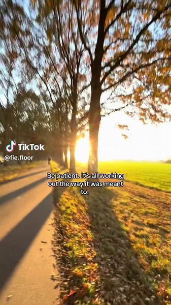 Stay Patient: Daily Motivation for a Calm Mindset