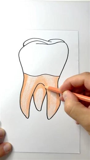A great way to draw a Tooth! #drawing #tooth