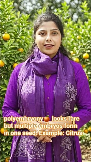 Citrus🍊 Do you know!!! Polyembryony ✨️🟠
