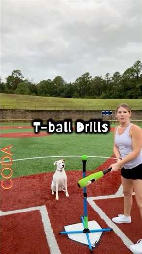Dog T-Ball Training!