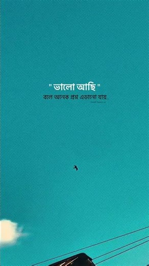 #guitar #cover #beach #music #travel #edit #memes