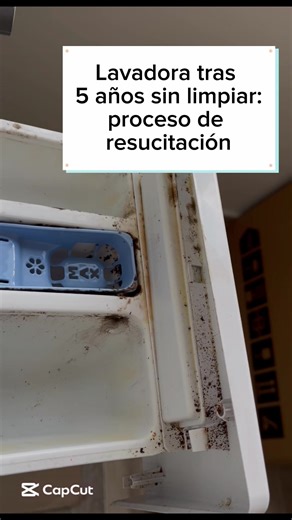 Limpieza profunda de la lavadora: estrategias efectivas