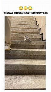 The way problems come into my life 😭 #problem #life #shorts