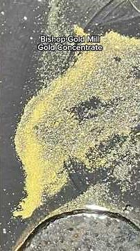 North Bay Resources: Knudsen Bowl and Shaker Table System at Bishop Gold Mill