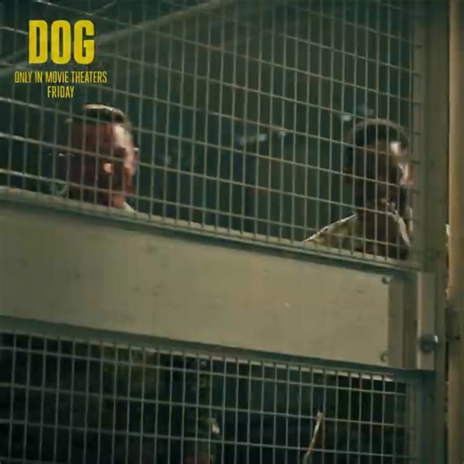"Dog" starring Channing Tatum OPENS TODAY - FRIDAY, FEB. 18! Two former Army Rangers are paired against their will on the road trip of a lifetime. Briggs (Tatum) and Lulu (a Belgian Malinois) race down the Pacific Coast to get to a fellow soldier's funeral on time. GET YOUR TICKETS NOW! #channingtatum #newmovies #dogmovie #scottsdale | Channing Movies