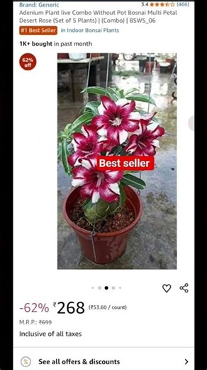 Amazon Flower Plant Shopping #amazon #amazonshopping #flowergarden #plants